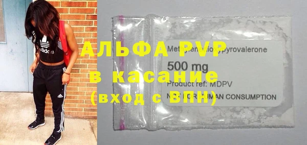 ECSTASY Алзамай