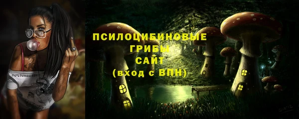 ECSTASY Алзамай
