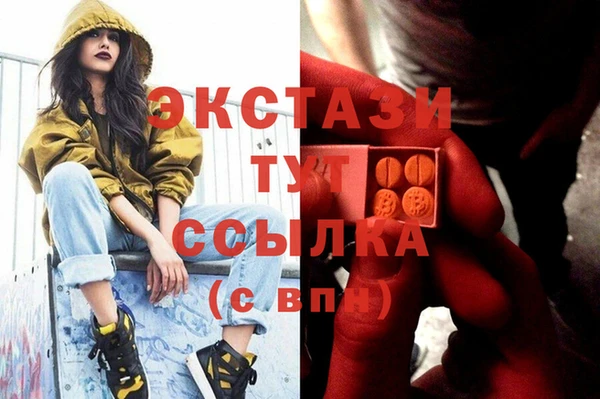 ECSTASY Алзамай