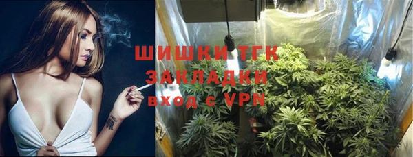 ECSTASY Алзамай