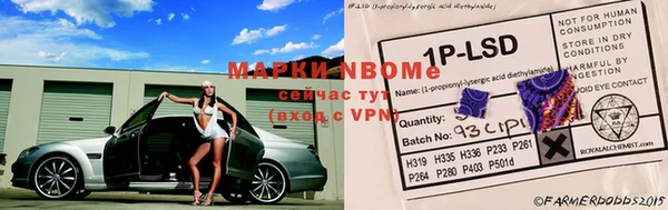 МДПВ Новокубанск