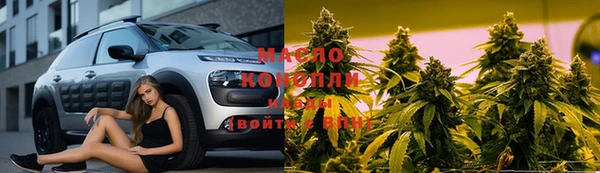 ECSTASY Алзамай